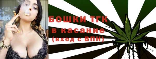 индика Верхнеуральск