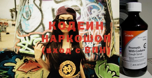 твердый Вяземский