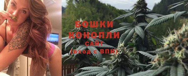 твердый Вяземский