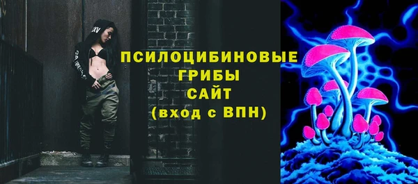 индика Верхнеуральск