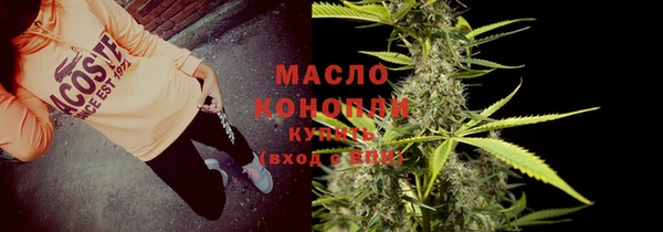 твердый Вяземский