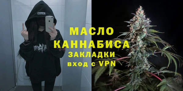 твердый Вяземский